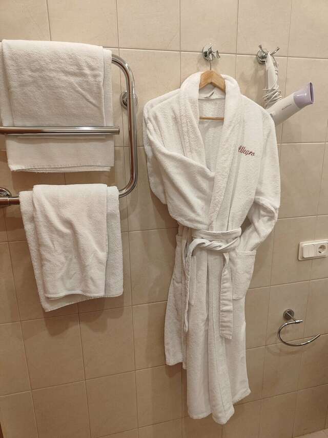 Гостиница Аллегро на Лиговском Санкт-Петербург-59